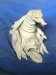 bellydragon