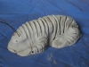 snaily