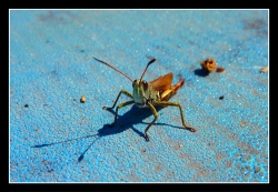 3995080815_c396bb8dcf